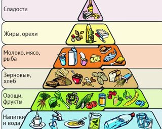 10 правил сбалансированного рациона